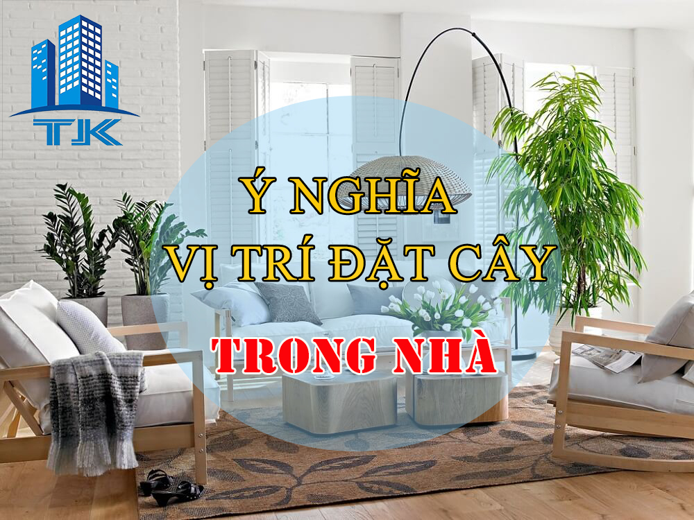 vị trí đặt cây phong thủy